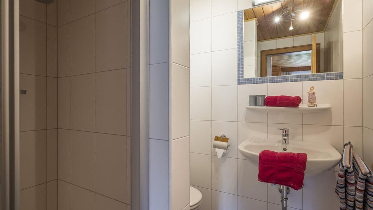App. 3 - Badezimmer mit Dusche App. 3 - Badezimmer mit Dusche